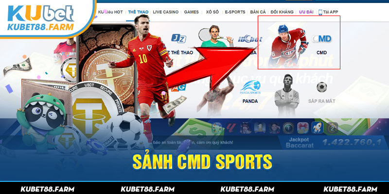 Sảnh CMD Sports