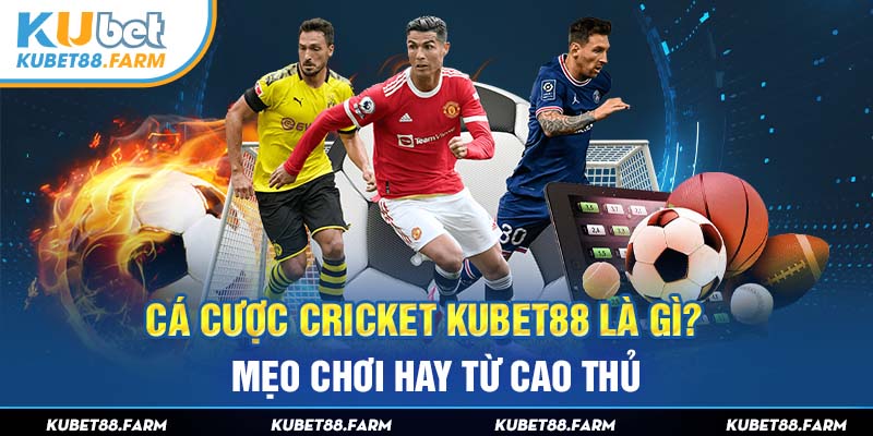 Cá Cược Cricket Kubet88 Là Gì? Mẹo Chơi Hay Từ Cao Thủ