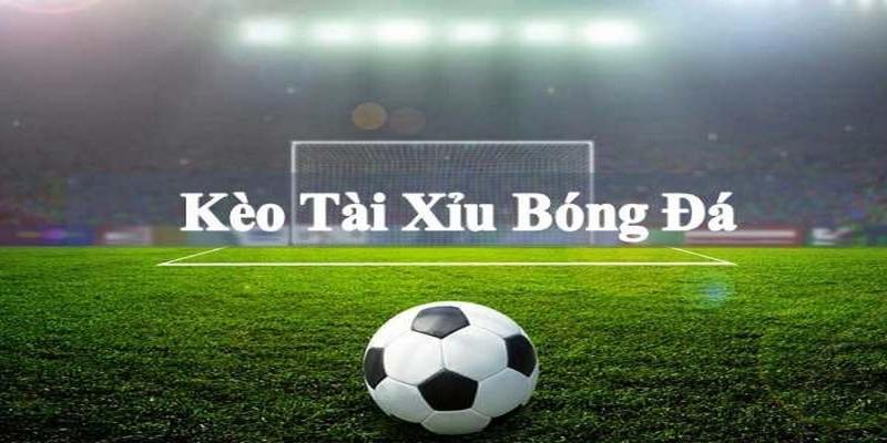 Tìm hiểu về cược tài xỉu